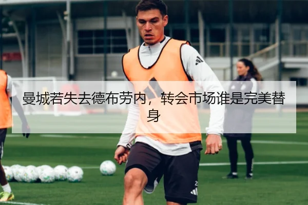 曼城若失去德布劳内，转会市场谁是完美替身